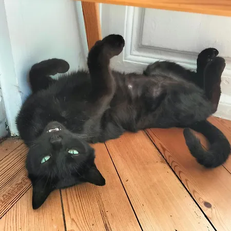 Alojamento de Acomodação e Pequeno-almoço D Hôte