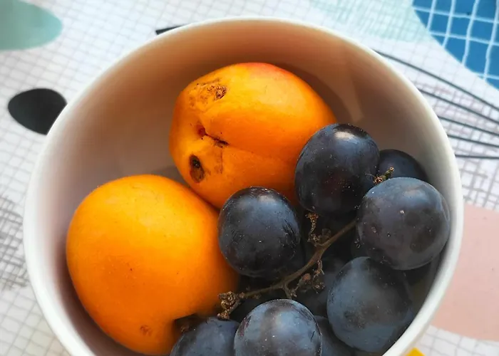 D Bed & Breakfast Falaise (Calvados)